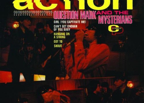 questionmarkmysterians-action